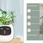 Smart Planter Endless Fun Over 49 Rich Expressions 7 Smart Sensors And AI Chips Make Raising Plants Easy And Fun