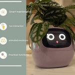 Smart Planter Endless Fun Over 49 Rich Expressions 7 Smart Sensors And AI Chips Make Raising Plants Easy And Fun