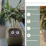 Smart Planter Endless Fun Over 49 Rich Expressions 7 Smart Sensors And AI Chips Make Raising Plants Easy And Fun